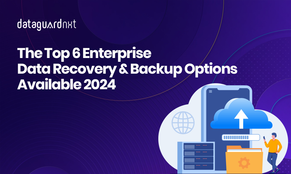 Data Recovery & Backup Options
