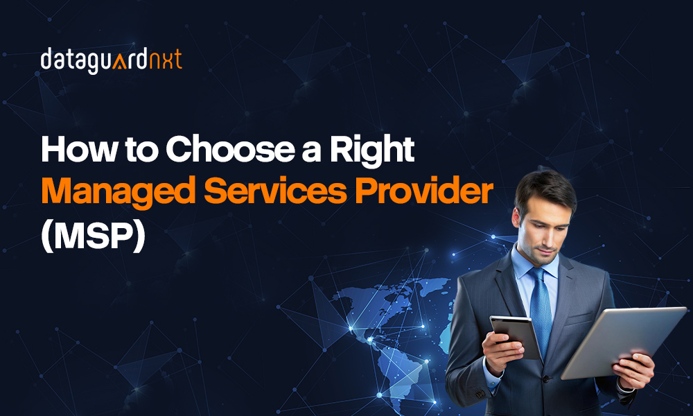  Managed Services Provider (MSP) 